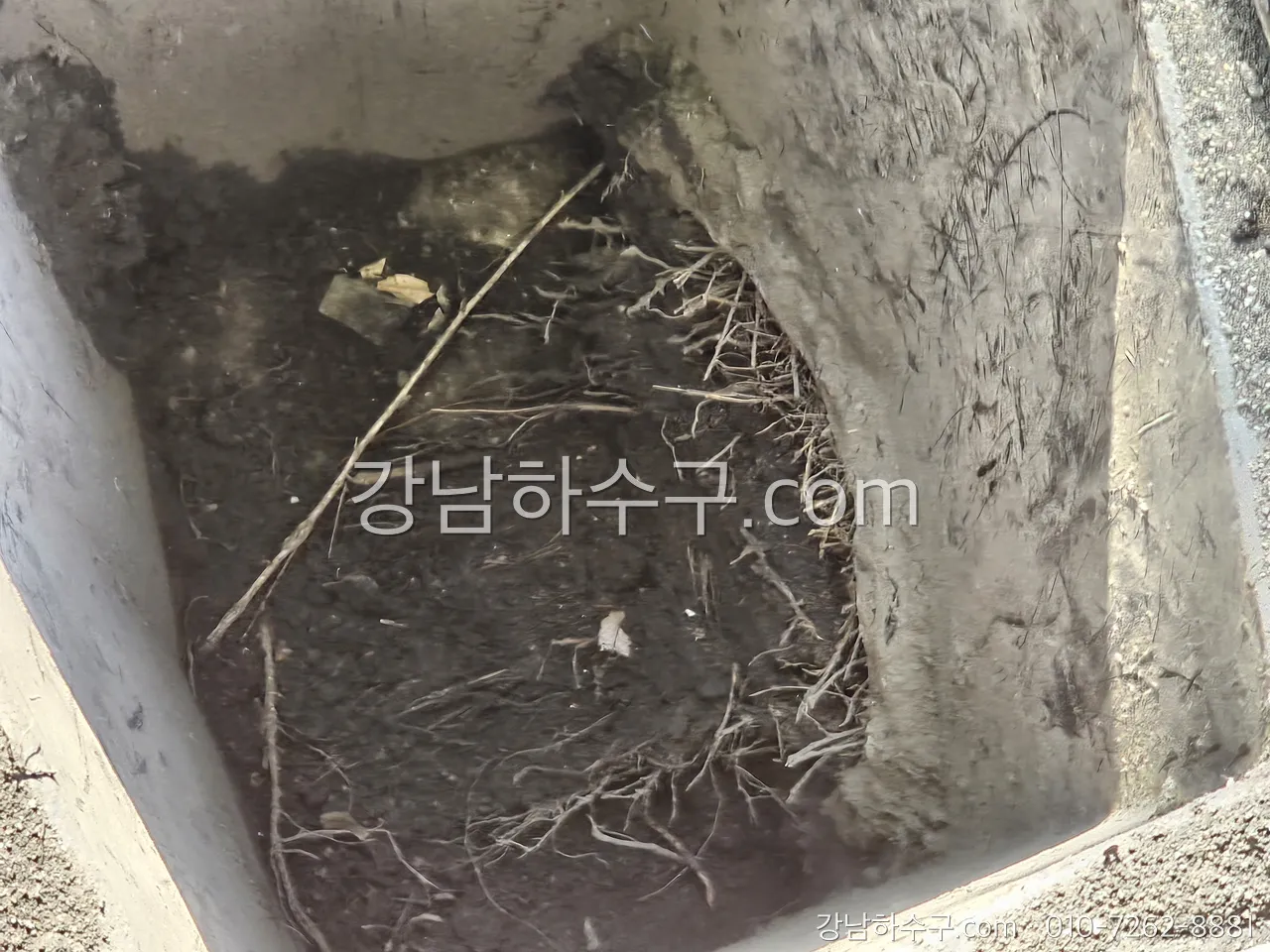 낙엽과 토사가 가득 찬 우수받이 내부