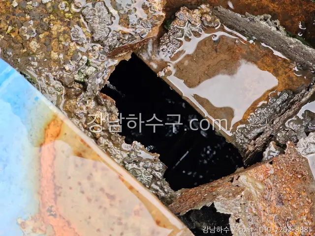 녹슨 옥상 배수구 안에 낙엽과 흙이 차 있는 모습